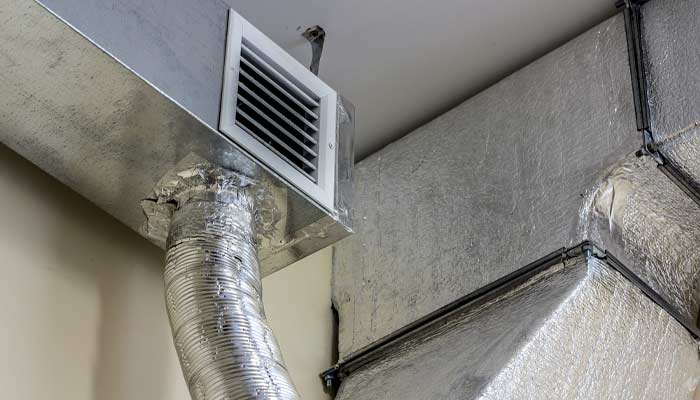 molds found in air ducts