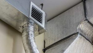 molds found in air ducts