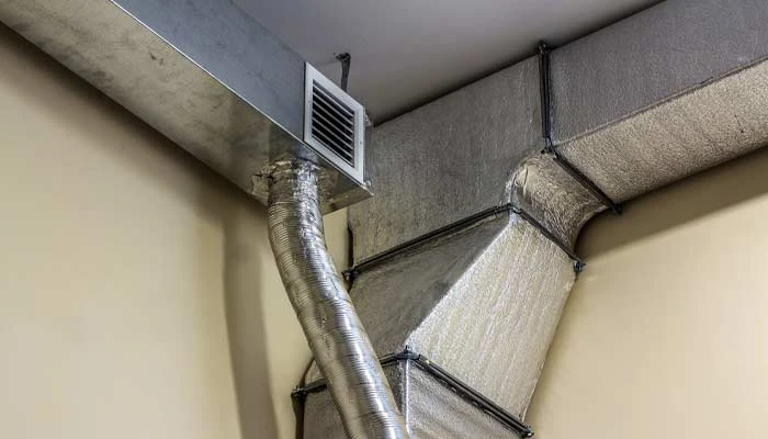 mold in air ducts