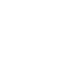 Major Repair Options