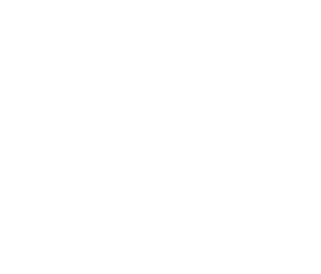 Service Blower Assembly